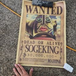 One Piece Poster 