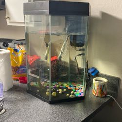  Fish Tank