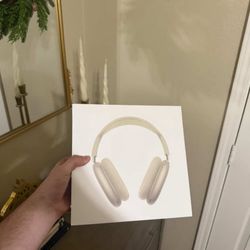 BRAND NEW APPLE HEADPHONES USB-C