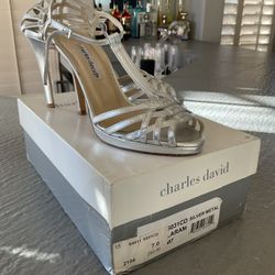 Beautiful Sexy Dress Heels