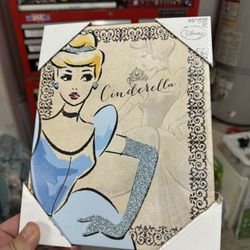 Cinderella Canvas Pic