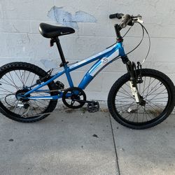 20in Blue Cobra MTB