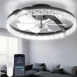 LED Ceiling Fan With Light