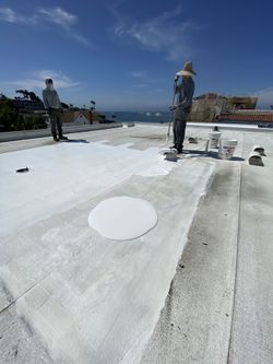 All About House Roof And Facia.