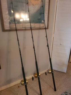PENN INTERNATIONAL 30s 6ft PENN ROD