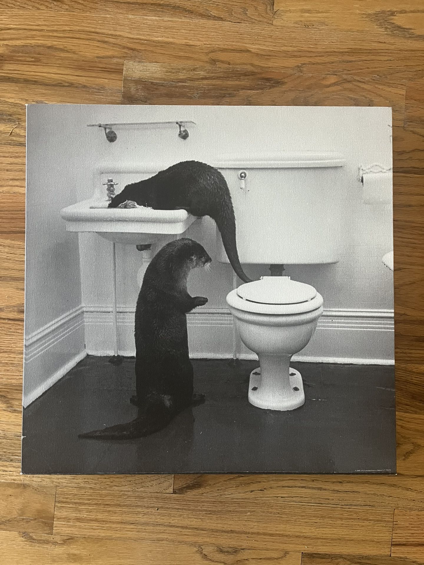 Cute Otter Bathroom Art