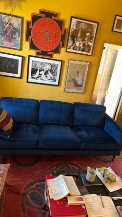 Nice royal blue velvet couch.