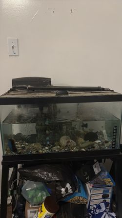 Fish tank