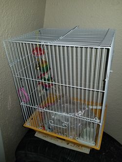 Bird cage