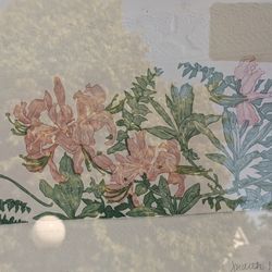 ""GARDEN  VISITOR" AP X/XV (I Apologize For The Bad Photo )