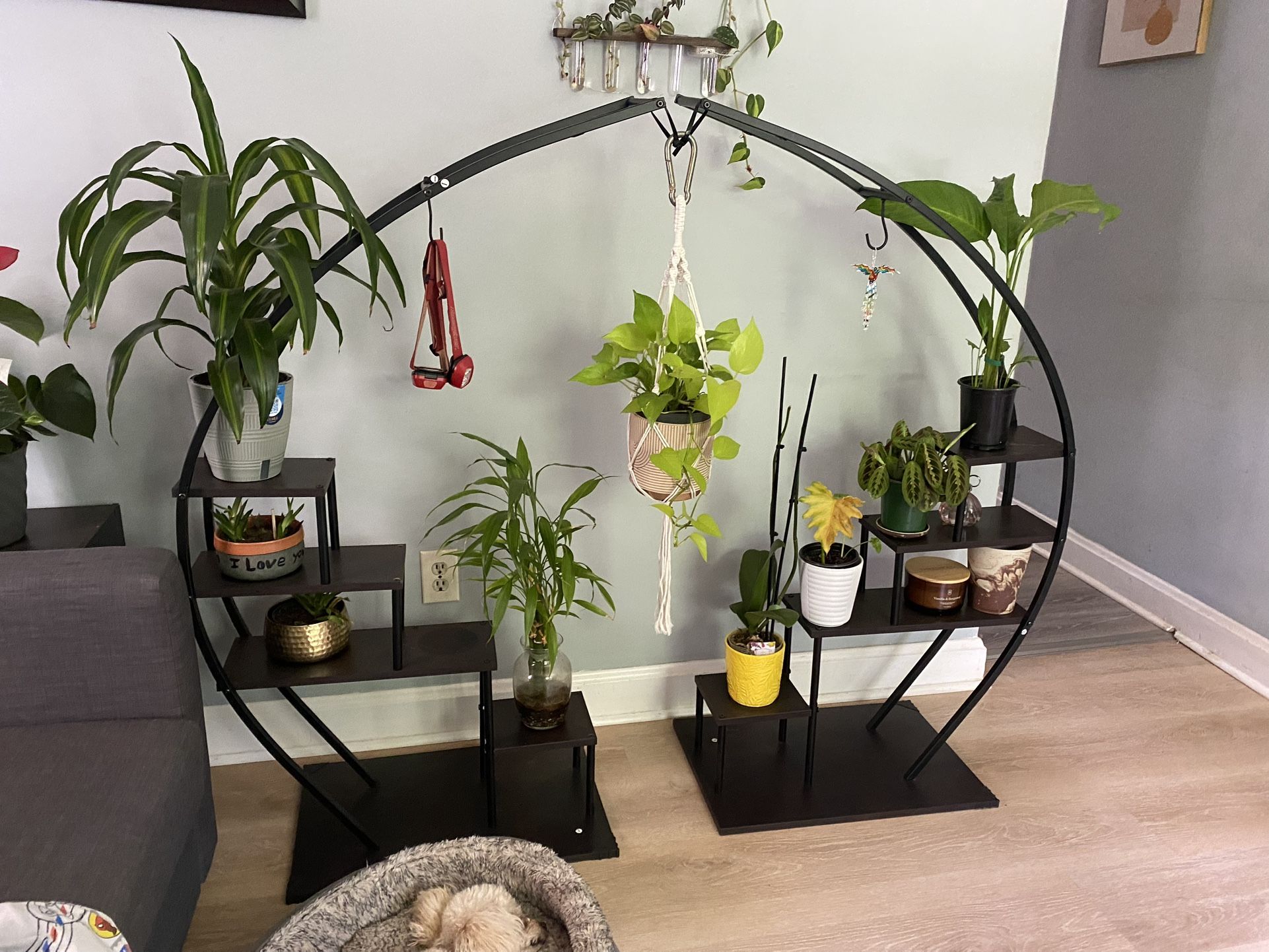 Half Moon Plant Stand