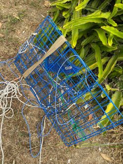 Promar crab trap
