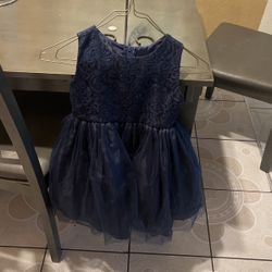 Girl Dresses (toddler)