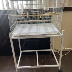 Birds Cage 