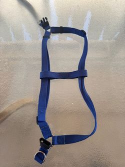Blue Nylon front Dog Harness