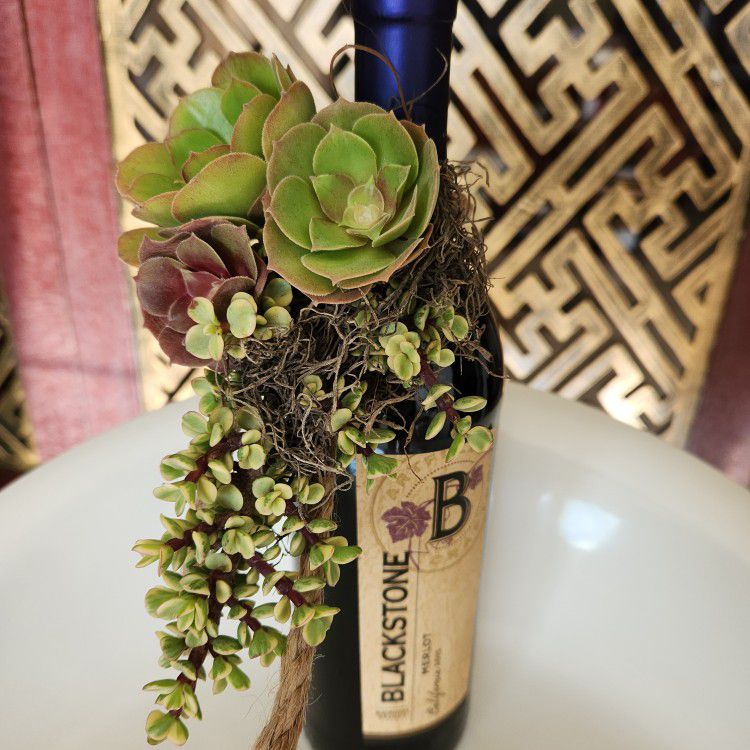 Succulents Bouquet For Wine Bottle 