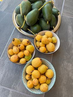 Organic pink guava , price for each bowl