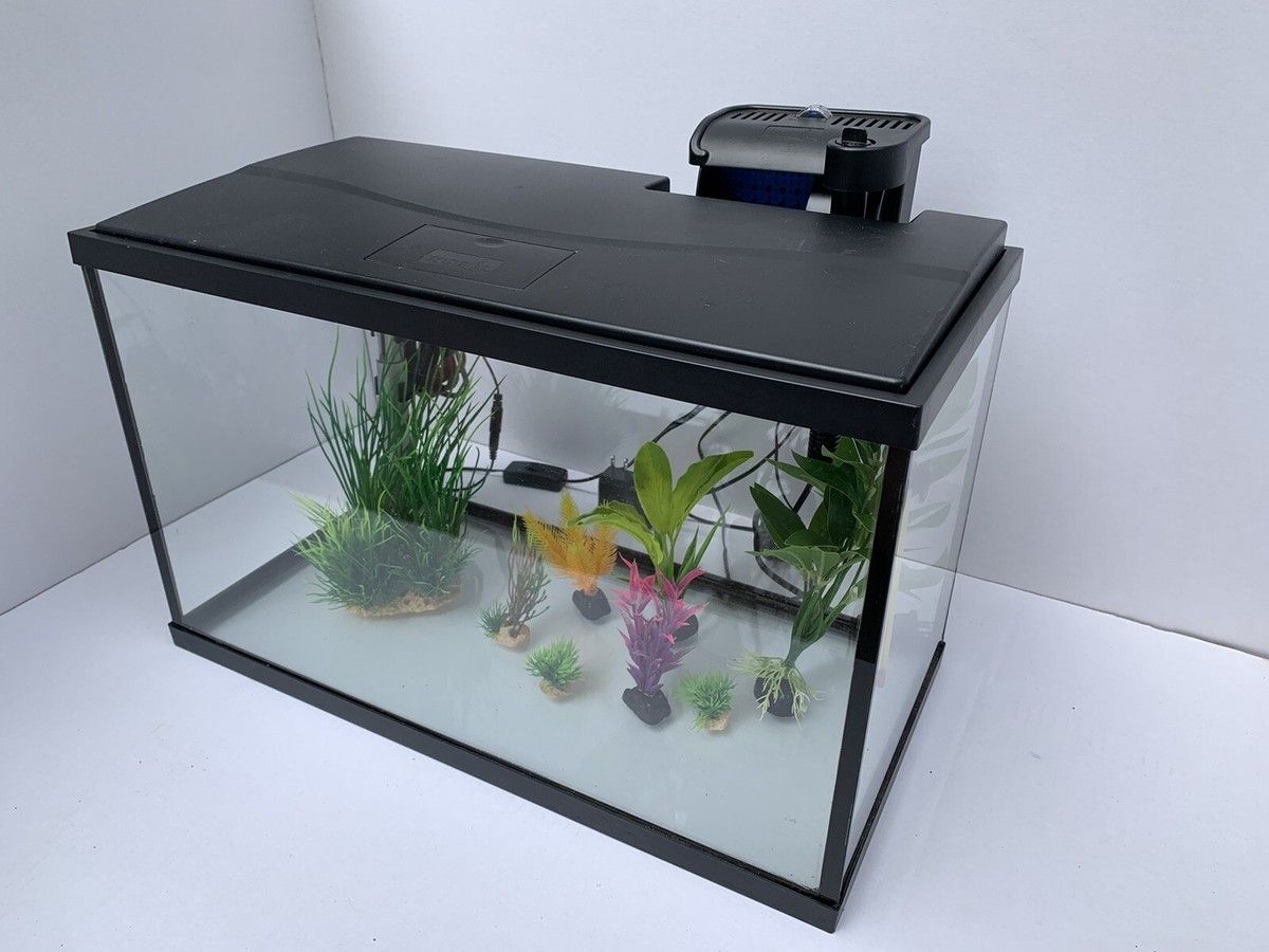 Fish Tank