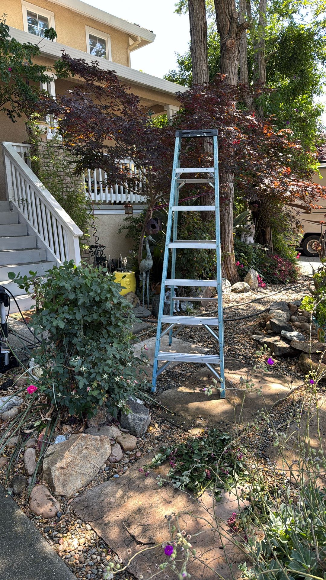 Werner 7 Foot Tall Ladder