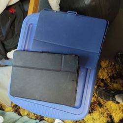 Two iPad Cases