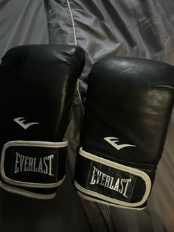 Everlast Boxing Gloves