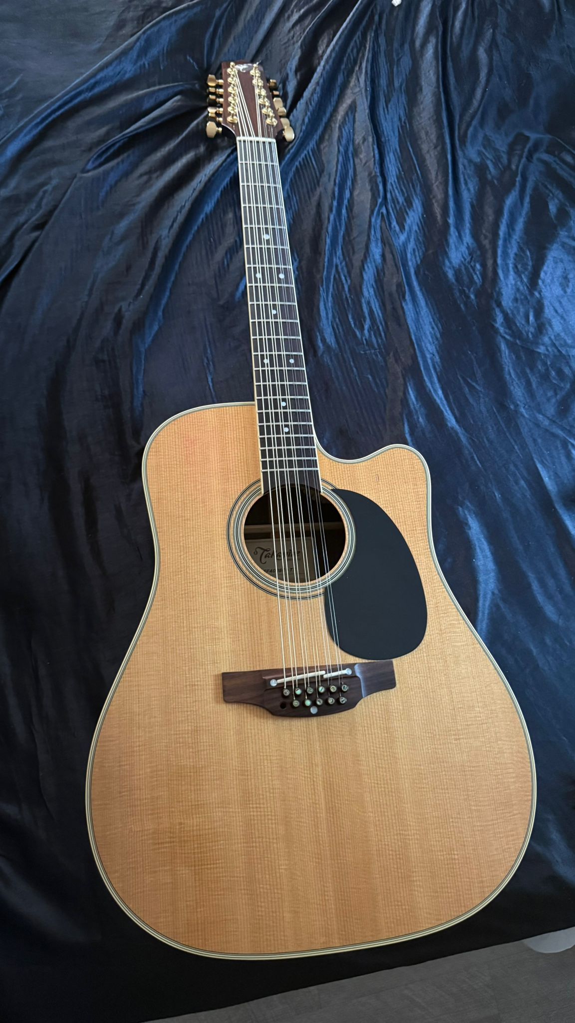 Takamine TT 12-String