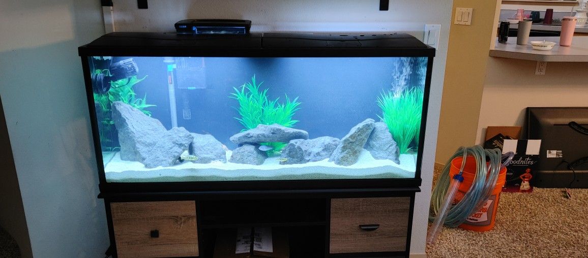 55 Gallon Aquarium With Lids With Built In Lights.