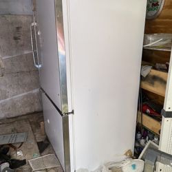 Bottom freezer fridge