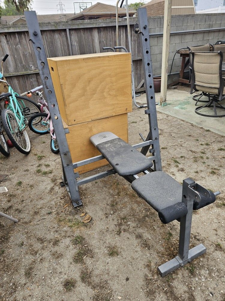 Weight Bench