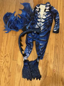 Boy Or Girl Dragon Costume Size 8-10