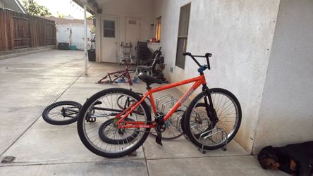 Thorne bike