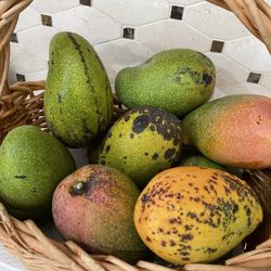 East Indian Mangoes 