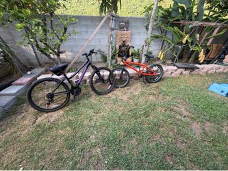 2 Bikes 30 ea & 50 for both