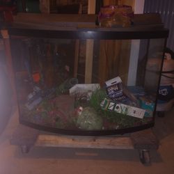 Fish Tank And Accessories 