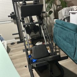 leg press/ squat press 