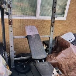 Gold’s gym bench press