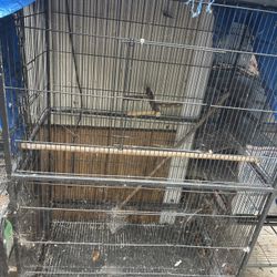 Cage