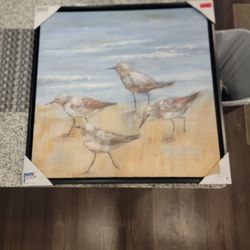 Framed Bird Picture 