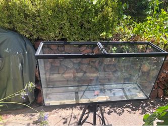 Fish Aquarium