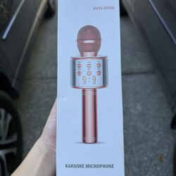KARAOKE MICROPHONE