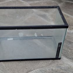 Aquarium  / Fish or Reptile / Small