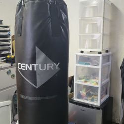 Boxing Bag