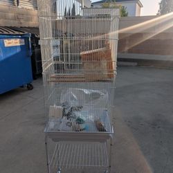 Bird Cage