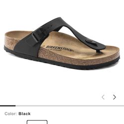 Birkenstocks Mens Sandals
