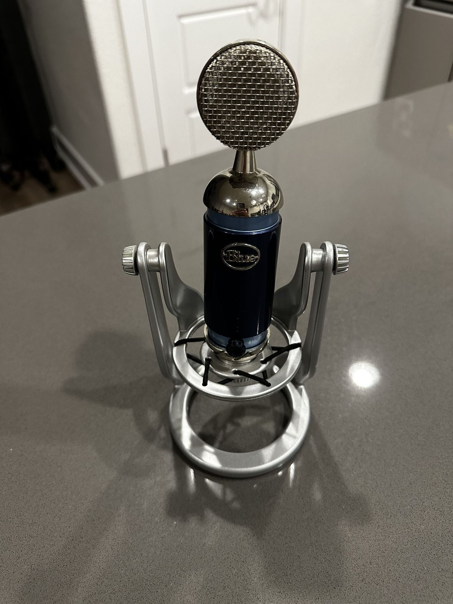 Blue Spark Digital Lightning Condenser USB Microphone