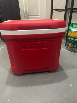 Small cooler igloo