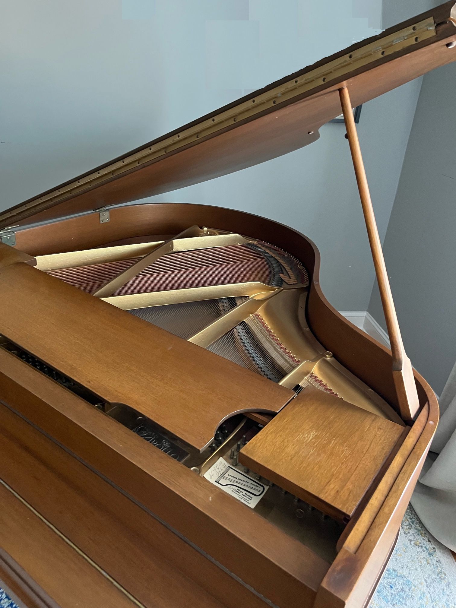 Beautiful Grand Baby piano , Manual And Auto Play !