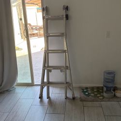 Indudusal  Size ladder $100