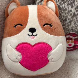 Squishmallows Regina The Corgi Dog 8” Plush