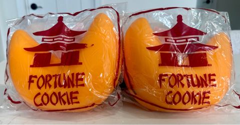 NEW Fortune Cookie Squish Toy